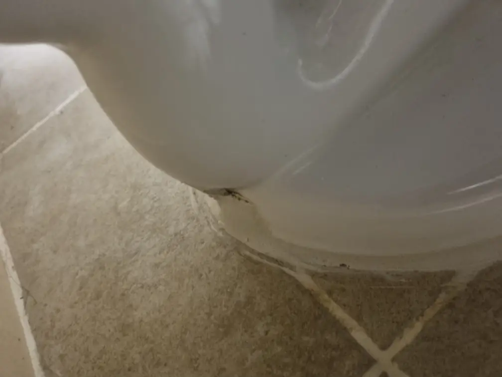 변기 백시멘트 8